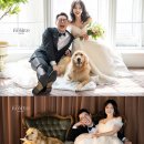 서하컴퍼니 이미지