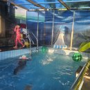 화원펜션 | [화원스테이지풀빌라 펜션] 홈페이지 제작 후기