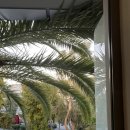 미노스프라자 | 🇬🇷 엄마와 그리스 크레타섬 여행기 ep.2