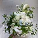 헤븐 메이크업 | [W_log] 대망의 본식 벡스코 웨딩홀 꼼나나 본식 메이크업 세븐스헤븐 블라썸필름 후기