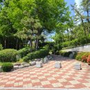 송정메타세콰이어길 이미지