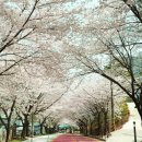 광영 큰골약수터 이미지