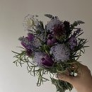 더벤티거창점 | [💍W 05] 📸 소피소 스튜디오 촬영 후기 1탄(촬영 전 준비)