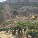 대동로 | 김해 아이랑 가볼 만한 카페 카페대동숲 | 애견동반 솔직후기