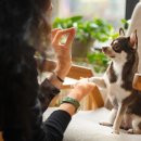 조은 동물병원 이미지