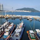 삼호횟집 - 강화군 해안서로 910 | 삼호횟집