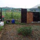 둥지민박 이미지