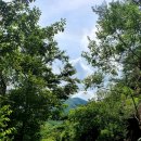 갈론사랑 이미지