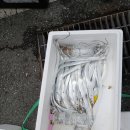 해남별암낚시터 이미지