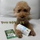 포스앤네이처 펫살롱 | 🐶강아지 목욕 필수 템, 비타포스킨 포스앤네이처 샤워필터 솔직 후기