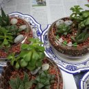 선부종합사회복지관 이미지