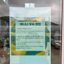 청도 아이랑 바나나 따기 체험 꿈그린농원