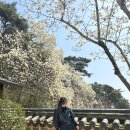 킨 재스퍼 블루 여자 사이즈 및 코디 리뷰!