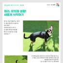 개님살롱 레이크사이드 이미지