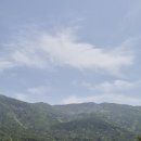 220 | 춘천 애견동반 가능한 대형카페 카페드220볼트 내돈내산 후기