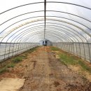 누운하우스 이미지