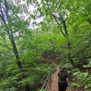 가야유원지 등산로 이미지