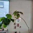 상상락원 - 송파구 백제고분로41길 6-5 | 상상락원