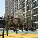 동산동신아파트 이미지