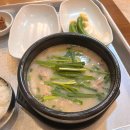[부산 사직동 밥집] 더도이 종가집 돼지국밥 내돈내산 후기