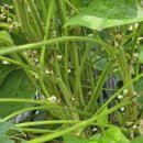 청자농장 이미지