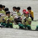 창촌초등학교 이미지