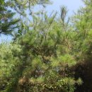 삼대제3농장 이미지