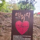 밀양시보건소 | 경남 밀양 가볼만 한곳 영남루