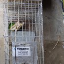 포산동물병원 이미지