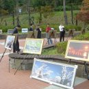 우포늪 생태 사진전 이미지