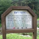 흥부골자연휴양림 이미지
