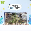 반딧불이유치원 이미지