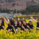 투어버스여행(주) | 제주 미니버스 투어 추천 🚍 포토스팟 여행 명소 후기