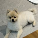 생고기제작소포천송우점