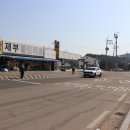 공단로가로수 이미지