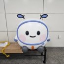 보라메트로약국 이미지