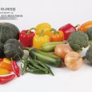 아나파의원 네이버블로그