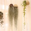 서귀포평생학습센터 이미지