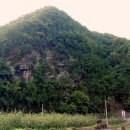 나무랑숲 이미지