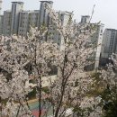 신영향남지웰 공인중개사사무소 이미지