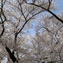 황룡사역사문화관 임시주차장 화장실 | 시간을 건너 모은 경주의 사계_1