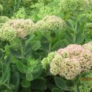 고양능곡13 이미지