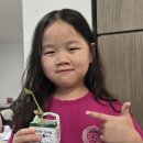 하이의 강낭콩 키우기 이미지