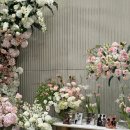 W19_ 아이폰 스냅 루이에르 스냅 본식 후기