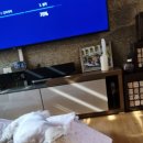 퍼피파라다이스 이미지