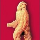 유포농장 이미지