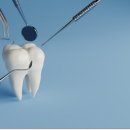 마리플란트치과의원 네이버블로그