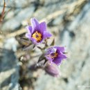 (주)동강 이미지