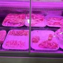 하이넬그린농장정육식당 이미지