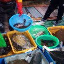 송림수산 이미지